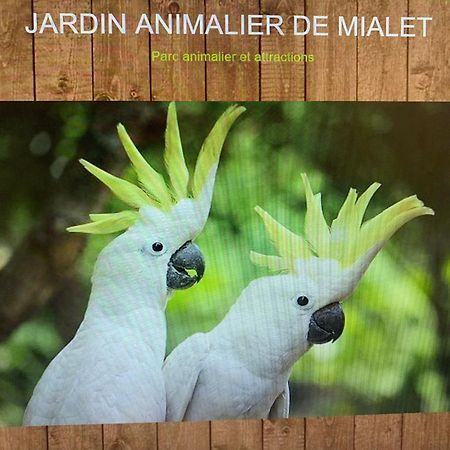 La Magnanerie Daire Mialet  Dış mekan fotoğraf