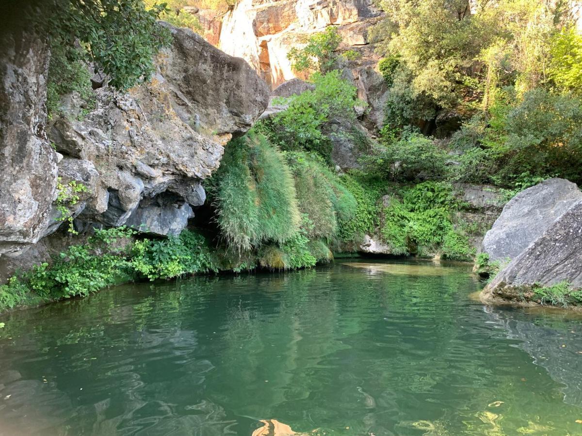 La Magnanerie Daire Mialet  Dış mekan fotoğraf