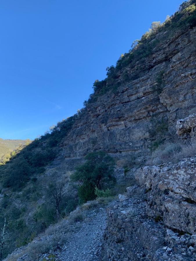 La Magnanerie Daire Mialet  Dış mekan fotoğraf